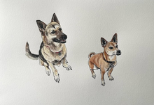 Load image into Gallery viewer, Hand-Painted Watercolor Pet Portrait