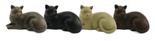 Load image into Gallery viewer, Cozy Cat